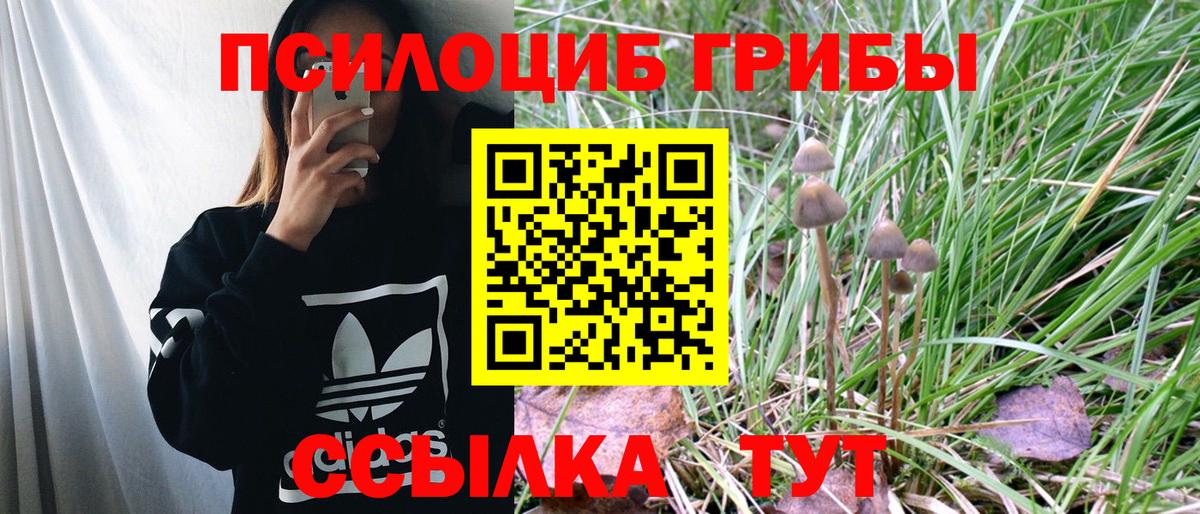 Бугульма  Галлюциногенные грибы Magic Shrooms  Вход с VPN 
